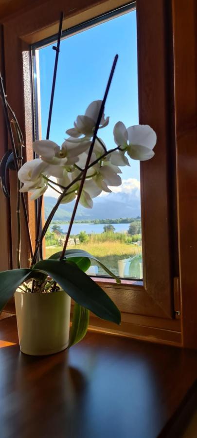The Lake Breeze Bay Плав Экстерьер фото